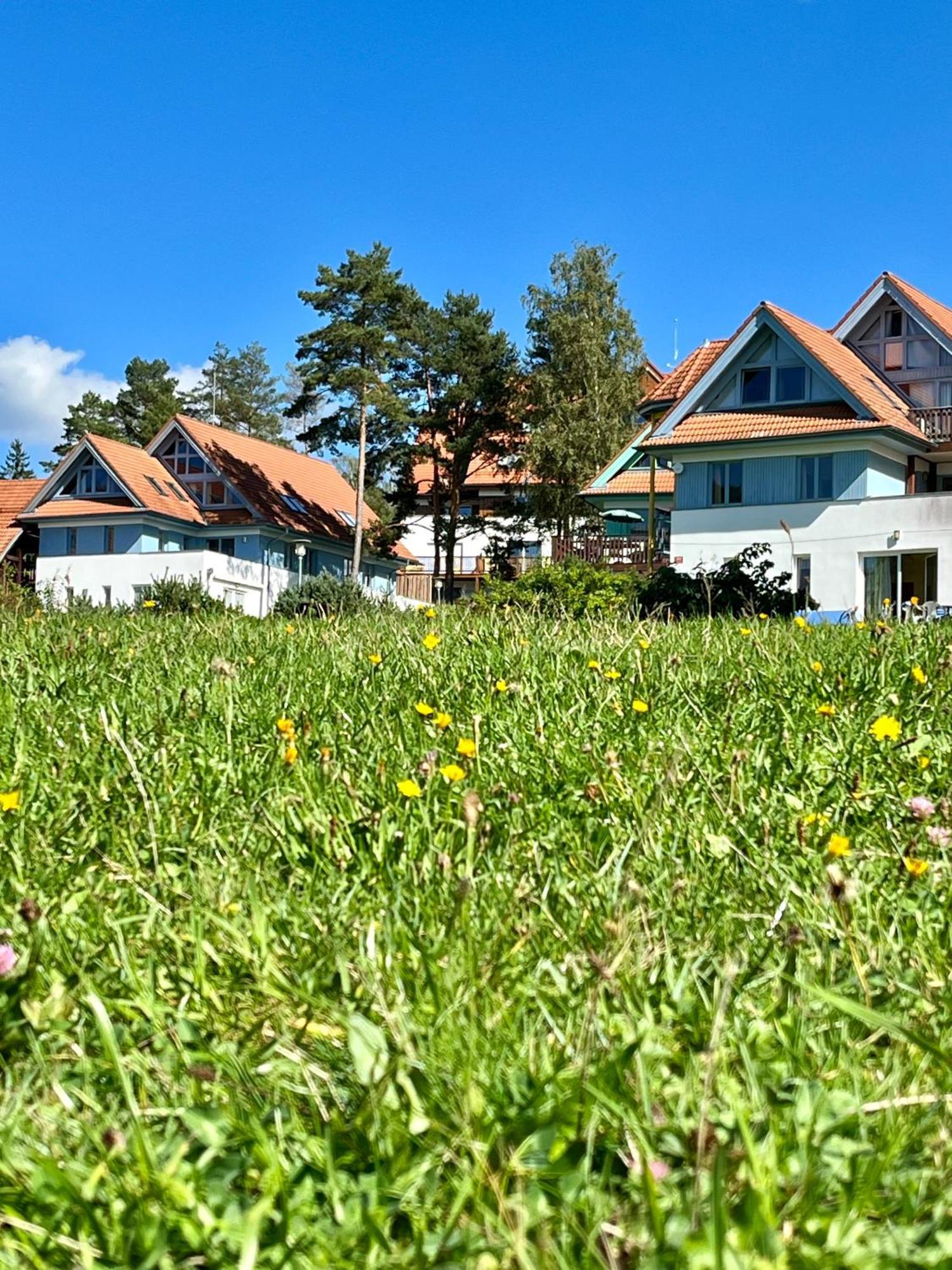 Lipno Beach Apartment Lipno nad Vltavou Exteriör bild